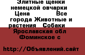 Элитные щенки немецкой овчарки › Цена ­ 30 000 - Все города Животные и растения » Собаки   . Ярославская обл.,Фоминское с.